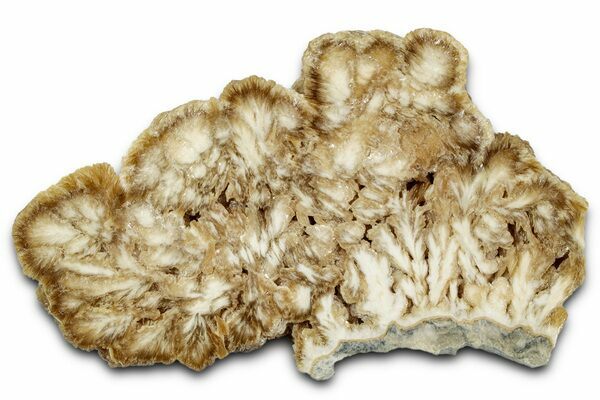 A polished slab of barite with pyrite from the Lubin Mine in Poland